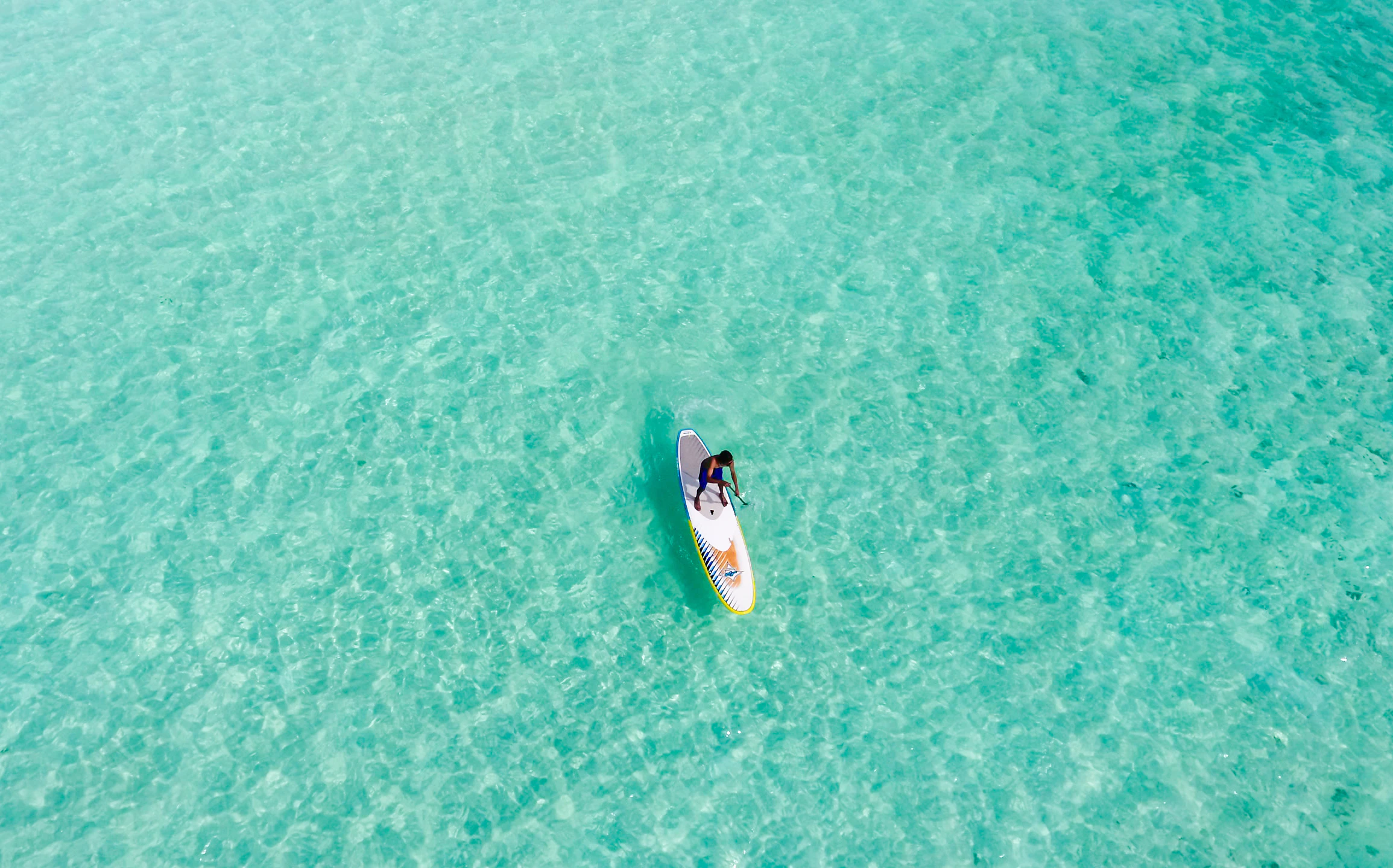 race stand up paddling